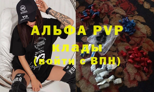 скорость Бородино