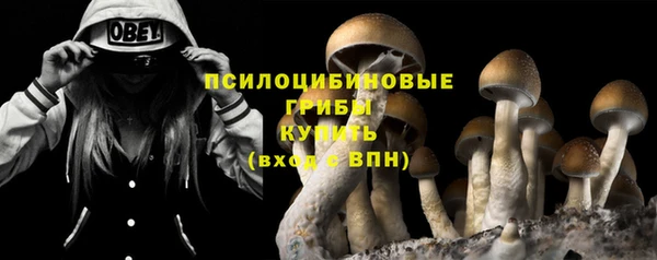 стафф Бугульма