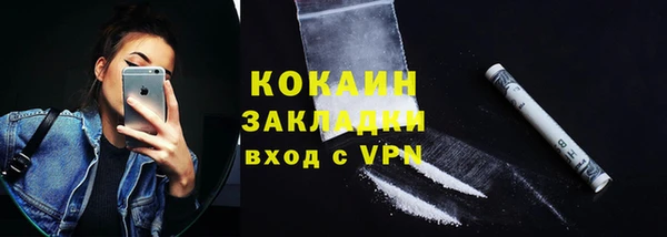 стаф Богородицк